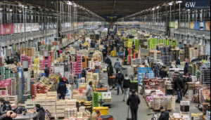 गतिशील भारतीय थोक बाज़ार में अवसरों का लाभ 